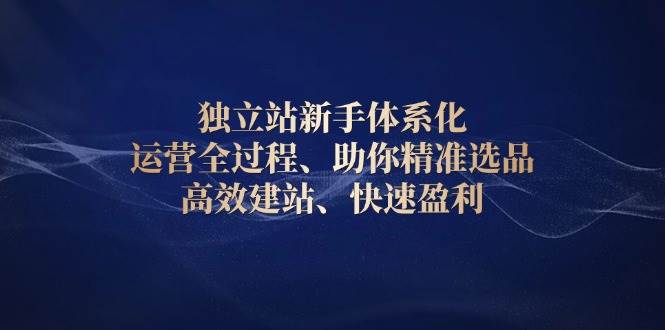 （13914期）独立站新手体系化 运营全过程，助你精准选品、高效建站、快速盈利-中创项目网