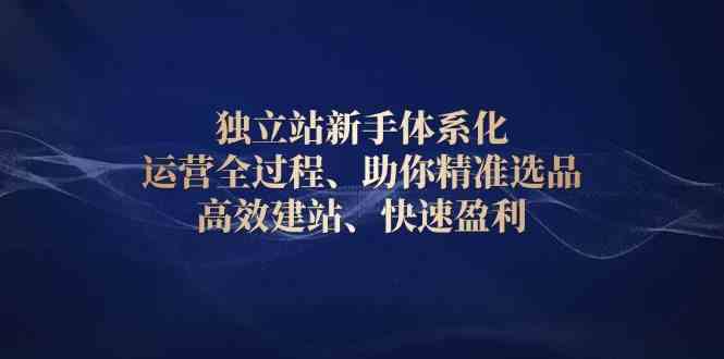 独立站新手体系化 运营全过程，助你精准选品、高效建站、快速盈利-中创项目网