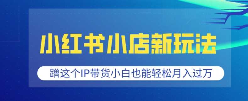 小红书小店新玩法，蹭这个IP带货，小白也能轻松月入过W【揭秘】-中创项目网