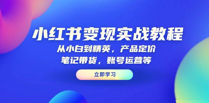 小红书变现实战教程：从小白到精英，产品定价，笔记带货，账号运营等-中创项目网
