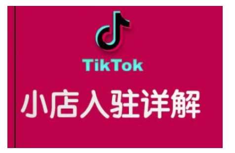 TikTok跨境小店运营全攻略，帮助你独立运营TK跨境小店的能力，实现销量增长-中创项目网