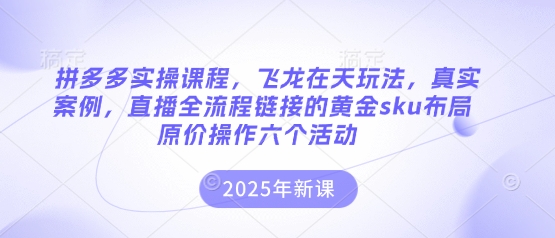 拼多多实操课程，飞龙在天玩法，真实案例，直播全流程链接的黄金sku布局原价操作六个活动-中创项目网
