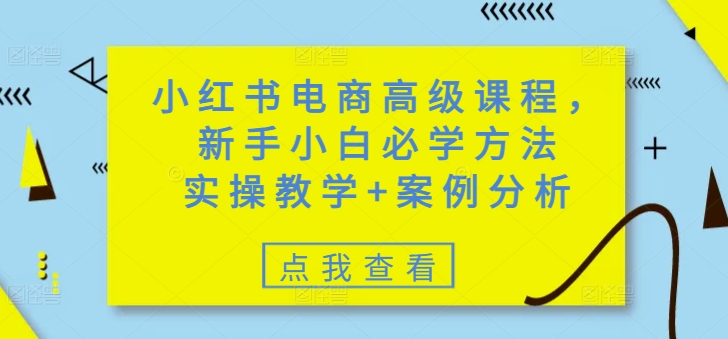 小红书电商高级课程，新手小白必学方法，实操教学+案例分析-中创项目网