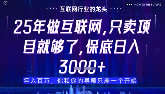 什么！25年你还在找项目做？风口早就变了，卖项目才是稳挣不赔【揭秘】-中创项目网