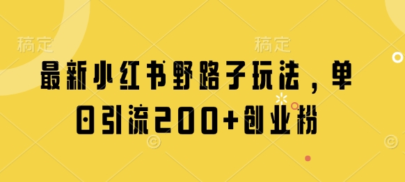 最新小红书野路子玩法，单日引流200+创业粉-中创项目网