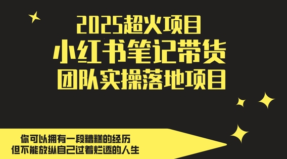 2025超火项目，副业最佳选择，小红书笔记带货团队实操落地项目，，轻松日入5张-中创项目网