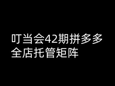 叮当会拼多多打爆班原创高阶技术第42期，拼多多全店托管矩阵-中创项目网