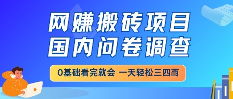 网创搬砖项目，国内问卷调查，小白轻松上手，一天三四张的也不难，干就完了【揭秘】-中创项目网
