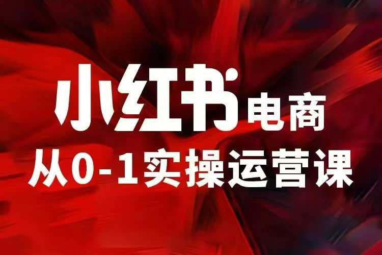 小红书电商运营，97节小红书vip内部课，带你实现小红书赚钱-中创项目网