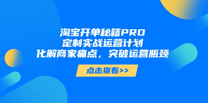 淘宝开单秘籍PRO，定制实战运营计划，化解商家痛点，突破运营瓶颈-中创项目网