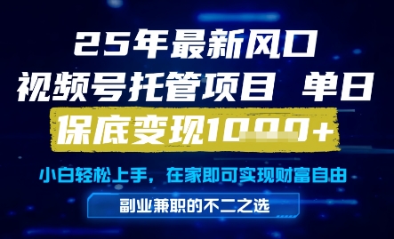 25年最新风口，视频号托管项目，单日保底变现1k+，手把手教学【揭秘】-中创项目网