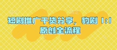 短剧推广干货分享，豹剧 1:1原创全流程-中创项目网