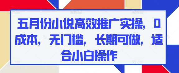 五月份小说高效推广实操，0成本，无门槛，长期可做，适合小白操作-中创项目网
