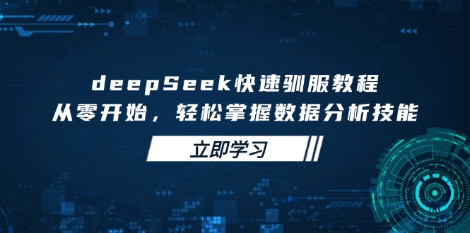 deepSeek快速驯服教程，从零开始，轻松掌握数据分析技能-中创项目网