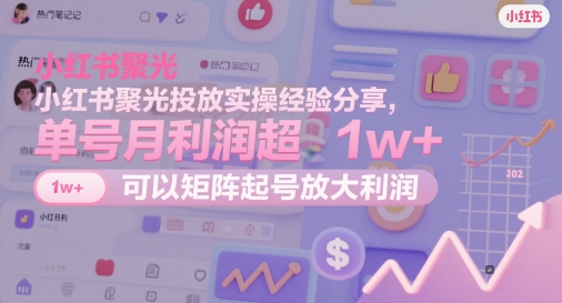 小红书聚光投放实操经验分享，单号月利润超1w+，可以矩阵起号放大利润-中创项目网