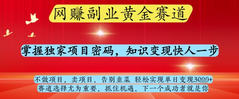 网创副业黄全赛道，掌握独家项目密码，知识变现快人一步，告别韭菜轻松实现单日变现1k+【揭秘】-中创项目网