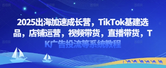 2025出海加速成长营，TikTok基建选品，店铺运营，视频带货，直播带货，TK广告投流等系统教程-中创项目网