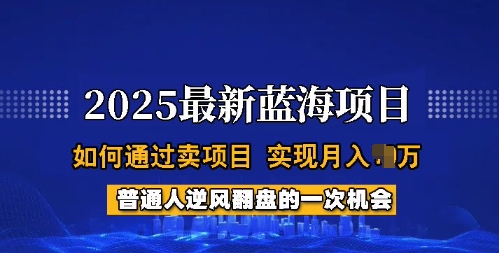 2025蓝海项目，普通人如何通过卖项目，实现月入过W，全过程【揭秘】-中创项目网