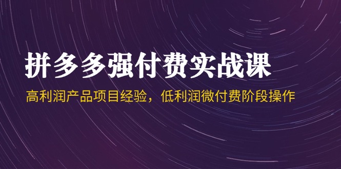 拼多多强付费实战课-44期，高利润产品项目经验，低利润微付费阶段操作-中创项目网