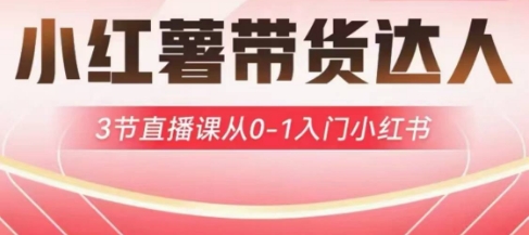 小红薯达人带货启航计划，3节直播课从0-1入门小红书-中创项目网