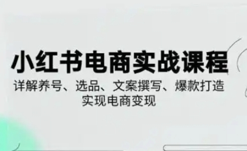 小红书从0-1实操课(2023-2025)，详解养号、选品、文案撰写、爆款打造实现电商变现-中创项目网