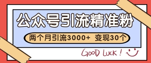公众号精准粉引流玩法，2个月3000+精准粉，变现30个W【揭秘】-中创项目网