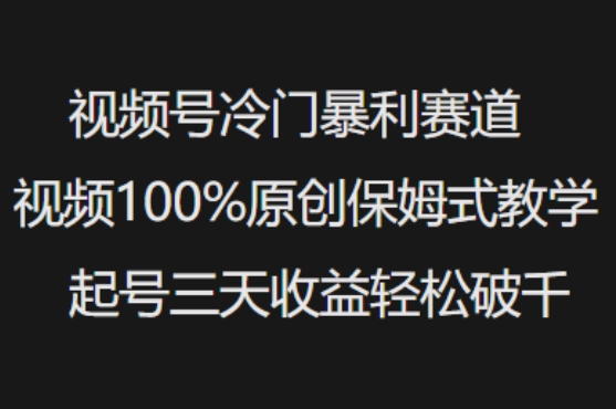 视频号冷门暴利赛道视频100%原创保姆式教学起号三天收益轻松破千-中创项目网