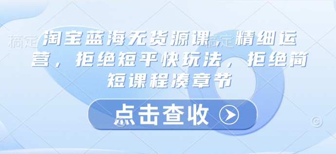 淘宝蓝海无货源课，精细运营，拒绝短平快玩法，拒绝简短课程凑章节-中创项目网