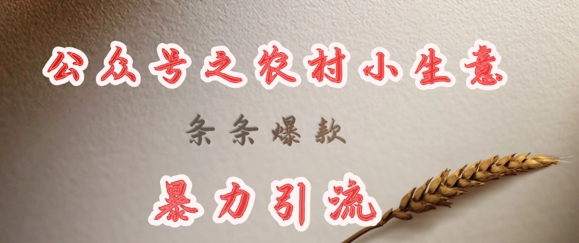 deepseek写农村小项目，条条爆款，暴力引流-中创项目网