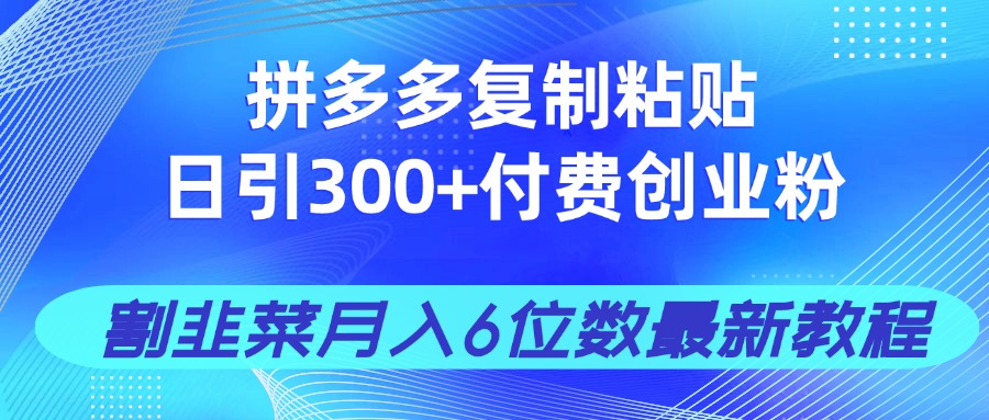 拼多多复制粘贴日引300+付费创业粉，割韭菜月入6位数最新教程！-中创项目网