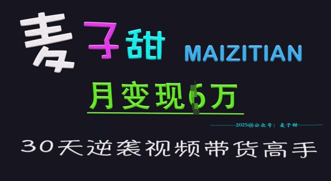 麦子甜30天逆袭视频带货高手，单月变现6W加特训营-中创项目网
