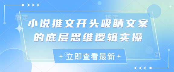 小说推文开头吸睛文案的底层思维逻辑实操-中创项目网