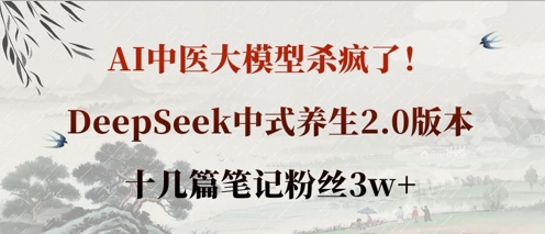 AI中医大模型杀疯了！DeepSeek中式养生2.0版本，十几篇笔记粉丝3w+-中创项目网