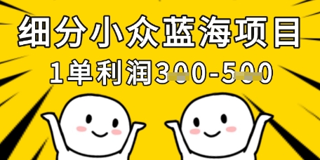 细分小众蓝海项目，一单利润3张，每月收入稳定过1w+-中创项目网