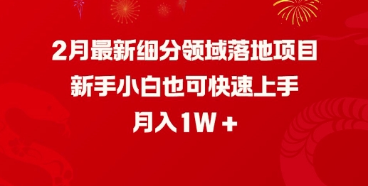 2月最新细分领域落地项目，新手小白也可快速上手，月入1W-中创项目网