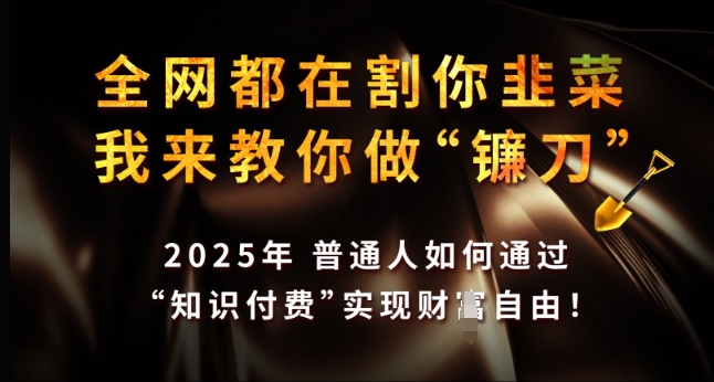 全网都在割你韭菜，我来教你做镰刀，2025年普通人如何通过 知识付费 实现财F自由【揭秘】-中创项目网