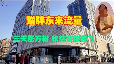 蹭胖东来流量，三天涨万粉，收益直接起飞-中创项目网