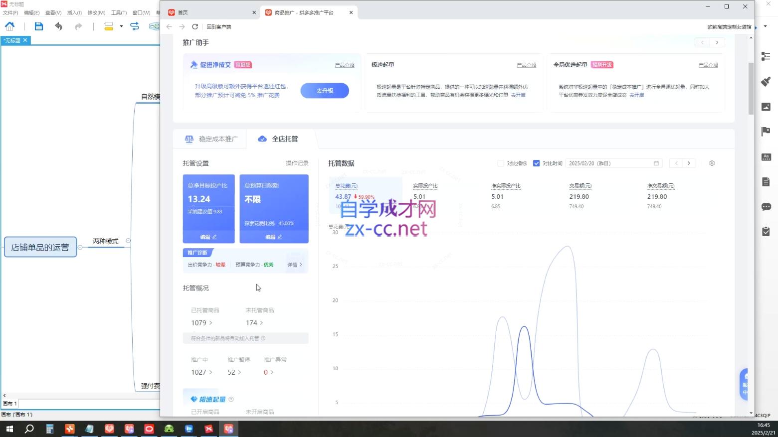 齐论拼多多vip课程-中创项目网
