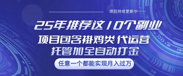 25年推荐这10个副业项目包含褂鸡类、代运营托管类、全自动打金类【揭秘】-中创项目网