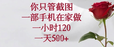 你只管截图，一部手机在家可以做，一小时120.一天5张+【揭秘】-中创项目网