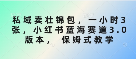 私域卖壮锦包，一小时3张，小红书蓝海赛道3.0版本， 保姆式教学-中创项目网