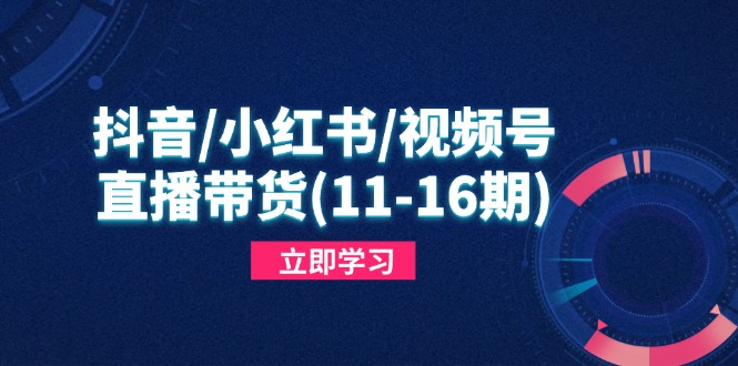 抖音/小红书/视频号/直播带货(11-16期-中创项目网