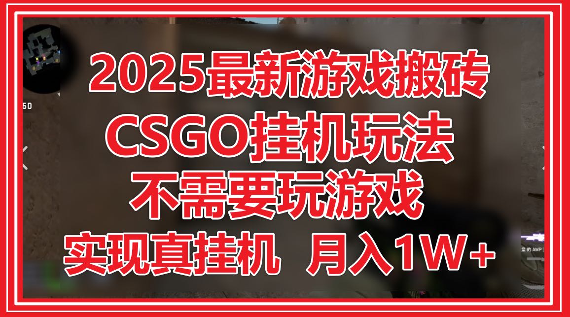 2025最新游戏搬砖，CSGO挂机，不需要玩游戏，实现真挂机，月入1W+-中创项目网