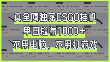 真全网独家CSGO挂G，单日捡漏1k+【揭秘】-中创项目网