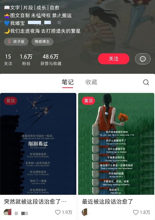 小红书治愈文案图文笔记，零门槛，一分钟制作轻松制作爆款作品月入万元-中创项目网