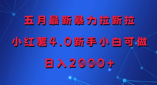 五月最新暴力拉新拉，小红薯4.0新手小白可做，日入多张-中创项目网