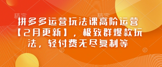 拼多多运营玩法课高阶运营【2月更新】，极致群爆款玩法，轻付费无尽复制等-中创项目网