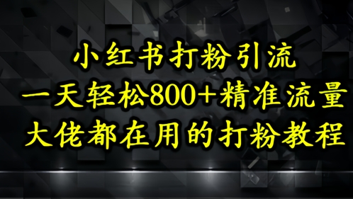 小红书打粉引流，一天轻松500+精准流量，大佬都在用的打粉教程-中创项目网