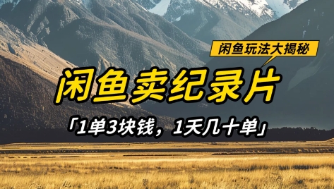 闲鱼卖纪录片1单3块钱，1天几十单，项目稳定有潜力-中创项目网