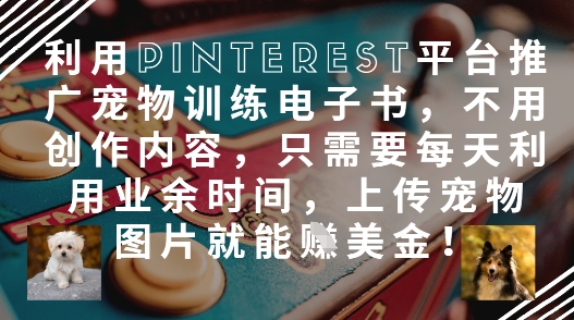 利用Pinterest平台推广宠物训练电子书，不用创作内容，只需要每天利用业余时间，上传宠物图片就能挣美金!-中创项目网